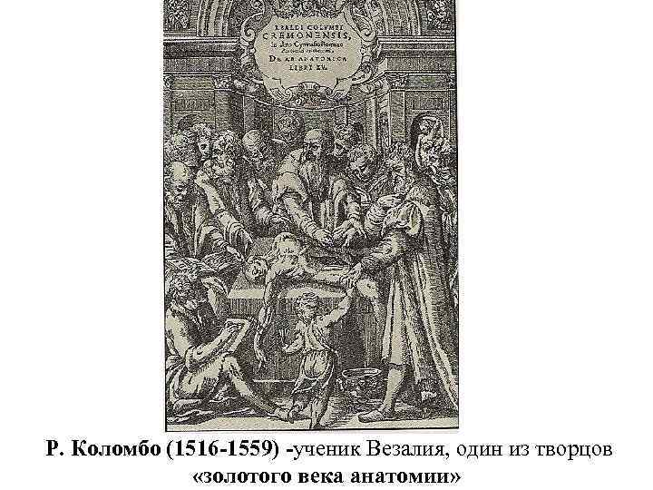 Р. Коломбо (1516 -1559) -ученик Везалия, один из творцов «золотого века анатомии» 