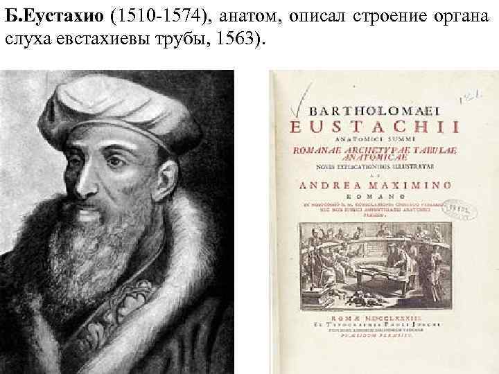 Б. Еустахио (1510 -1574), анатом, описал строение органа слуха евстахиевы трубы, 1563). 