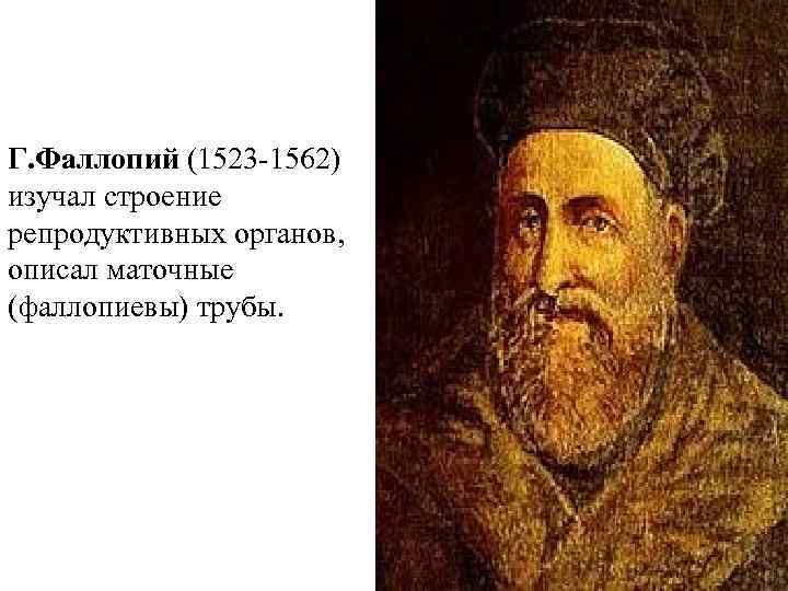 Г. Фаллопий (1523 -1562) изучал строение репродуктивных органов, описал маточные (фаллопиевы) трубы. 