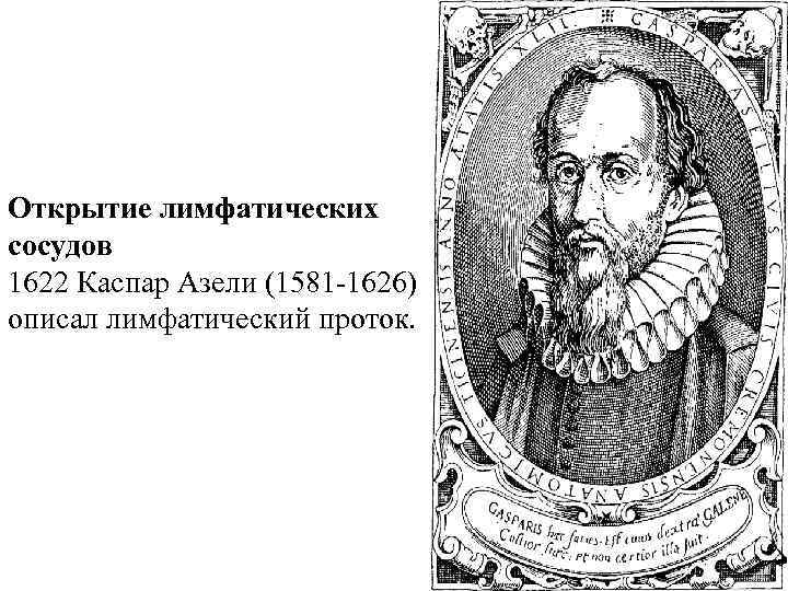 Открытие лимфатических сосудов 1622 Каспар Азели (1581 -1626) описал лимфатический проток. 