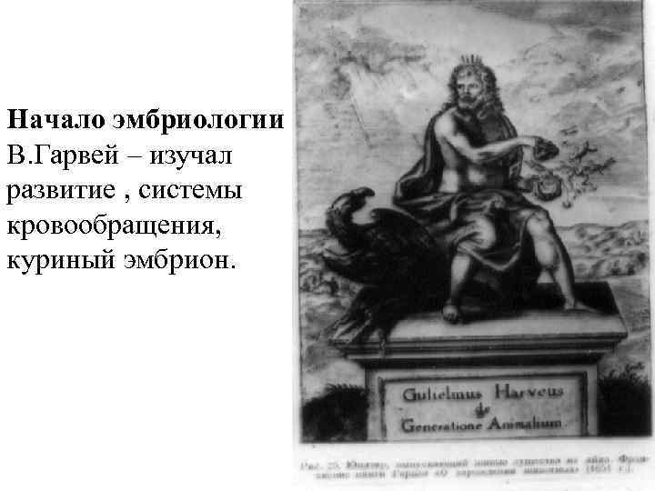 Начало эмбриологии В. Гарвей – изучал развитие , системы кровообращения, куриный эмбрион. 