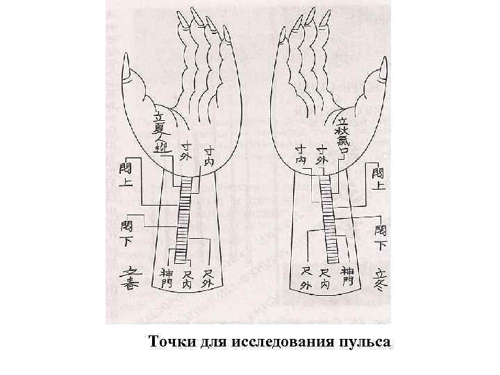 Точки для исследования пульса 