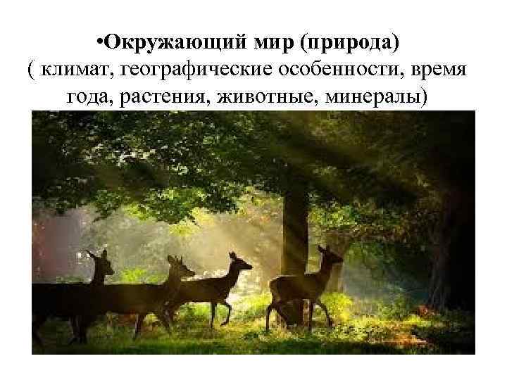  • Окружающий мир (природа) ( климат, географические особенности, время года, растения, животные, минералы)