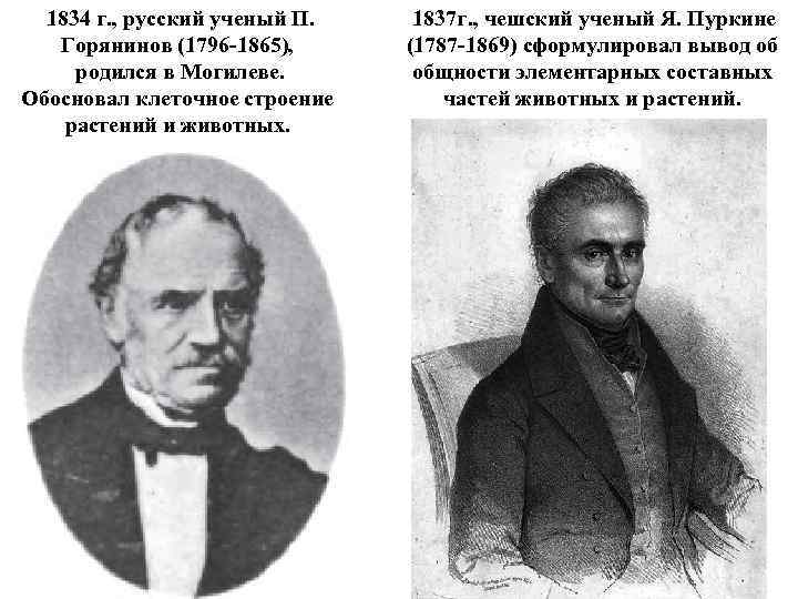  1834 г. , русский ученый П. Горянинов (1796 -1865), родился в Могилеве. Обосновал