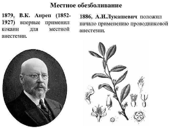  Местное обезболивание 1879, В. К. Анреп (18521927) впервые применил кокаин для местной анестезии.