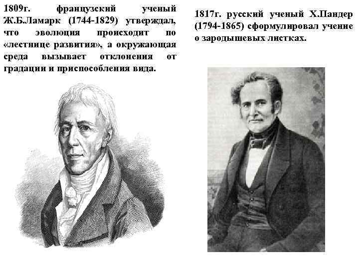 1809 г. французский ученый Ж. Б. Ламарк (1744 -1829) утверждал, что эволюция происходит по