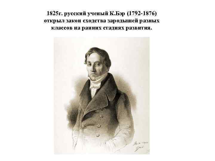 1825 г. русский ученый К. Бэр (1792 -1876) открыл закон сходства зародышей разных классов