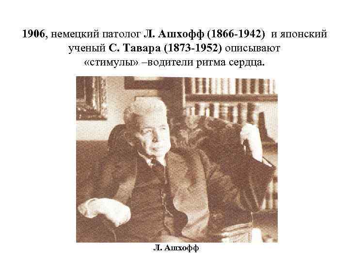 1906, немецкий патолог Л. Ашхофф (1866 -1942) и японский ученый С. Тавара (1873 -1952)