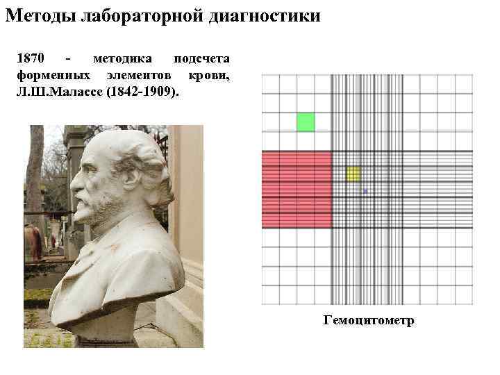 Методы лабораторной диагностики 1870 - методика подсчета форменных элементов крови, Л. Ш. Малассе (1842