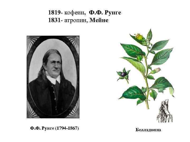 1819 - кофеин, Ф. Ф. Рунге 1831 - атропин, Мейне Ф. Ф. Рунге (1794