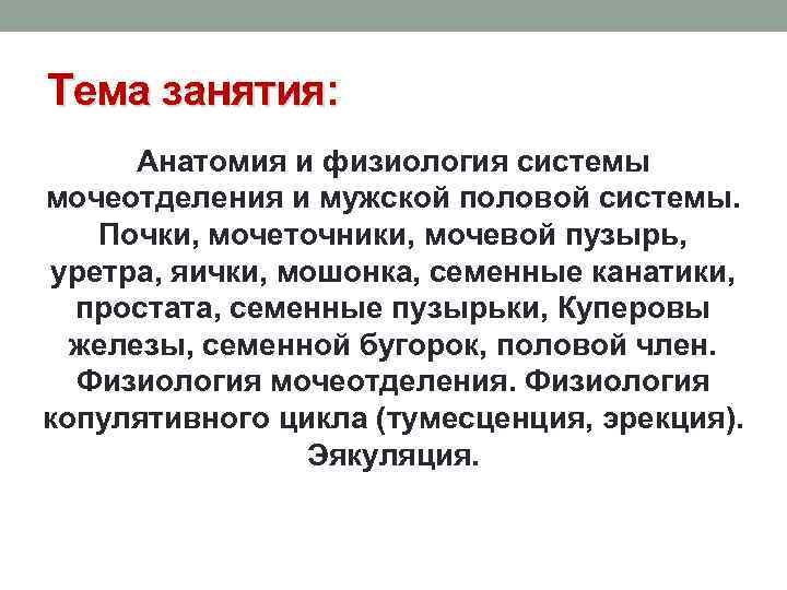 Тема занятия: Анатомия и физиология системы мочеотделения и мужской половой системы. Почки, мочеточники, мочевой