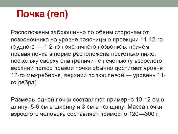 Почка (ren) Расположены забрюшинно по обеим сторонам от позвоночника на уровне поясницы в проекции