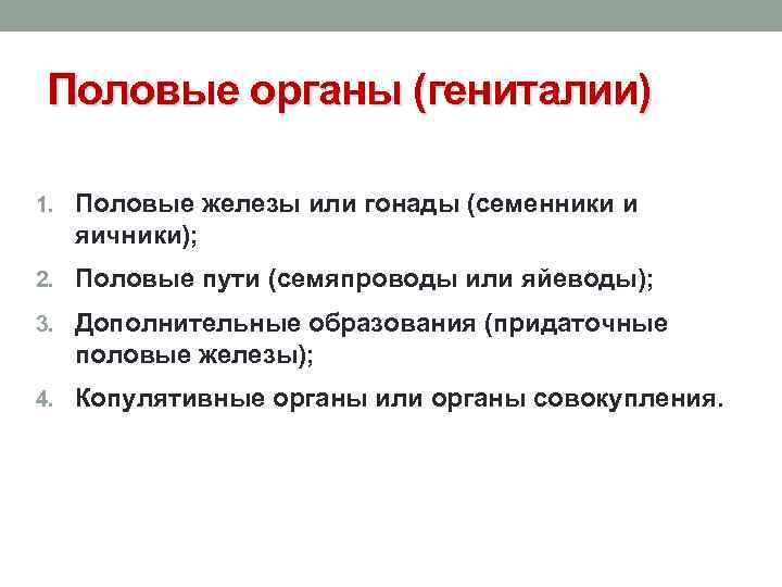 Половые органы (гениталии) 1. Половые железы или гонады (семенники и яичники); 2. Половые пути