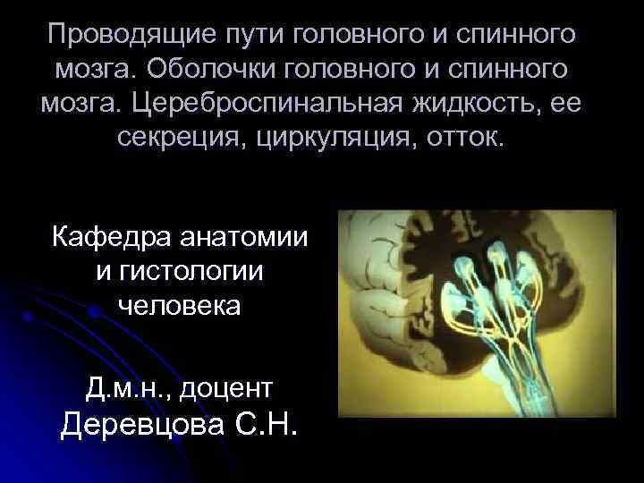 Проводящие пути головного и спинного мозга. Оболочки головного и спинного мозга. Цереброспинальная жидкость, ее
