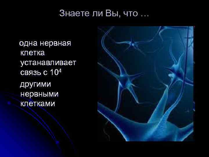 Знаете ли Вы, что … одна нервная клетка устанавливает связь с 104 другими нервными