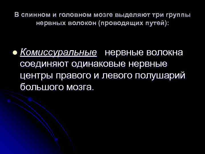 В спинном и головном мозге выделяют три группы нервных волокон (проводящих путей): l Комиссуральные
