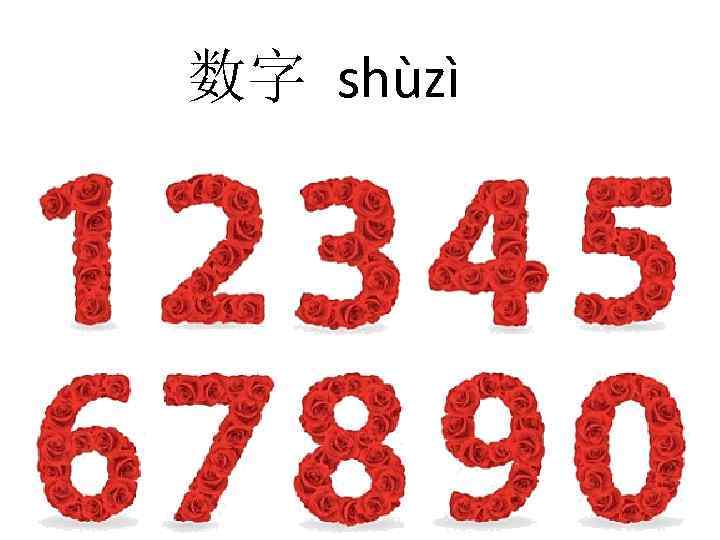 数字 shùzì 