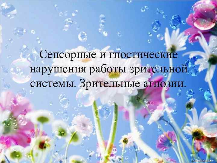 Сенсорные и гностические нарушения работы зрительной системы. Зрительные агнозии. 