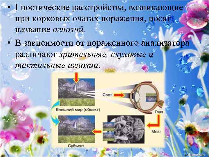  • Гностические расстройства, возникающие при корковых очагах поражения, носят название агнозий. • В