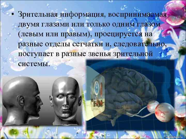  • Зрительная информация, воспринимаемая двумя глазами или только одним глазом (левым или правым),
