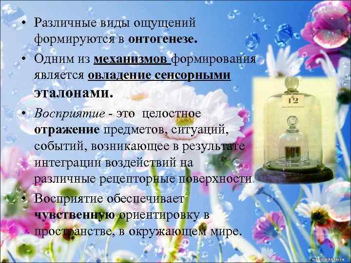  • Различные виды ощущений формируются в онтогенезе. • Одним из механизмов формирования является