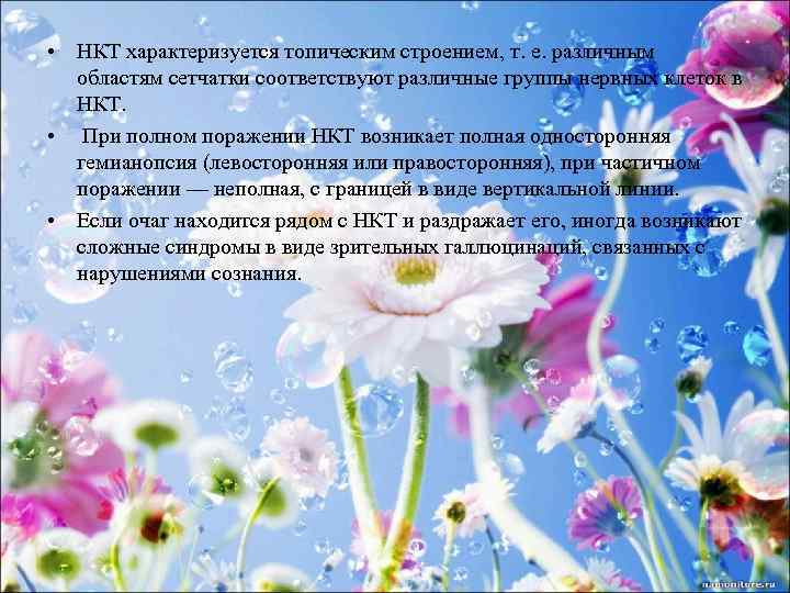  • НКТ характеризуется топическим строением, т. е. различным областям сетчатки соответствуют различные группы