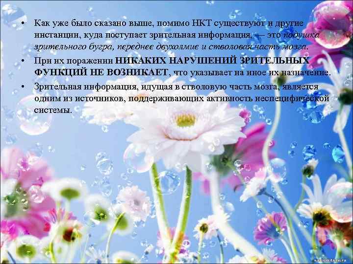 • Как уже было сказано выше, помимо НКТ существуют и другие инстанции, куда