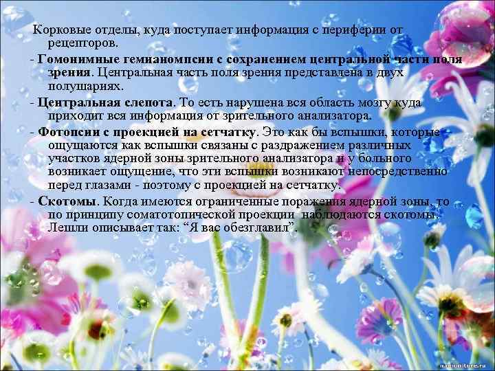 Корковые отделы, куда поступает информация с периферии от рецепторов. - Гомонимные гемианомпсии с сохранением