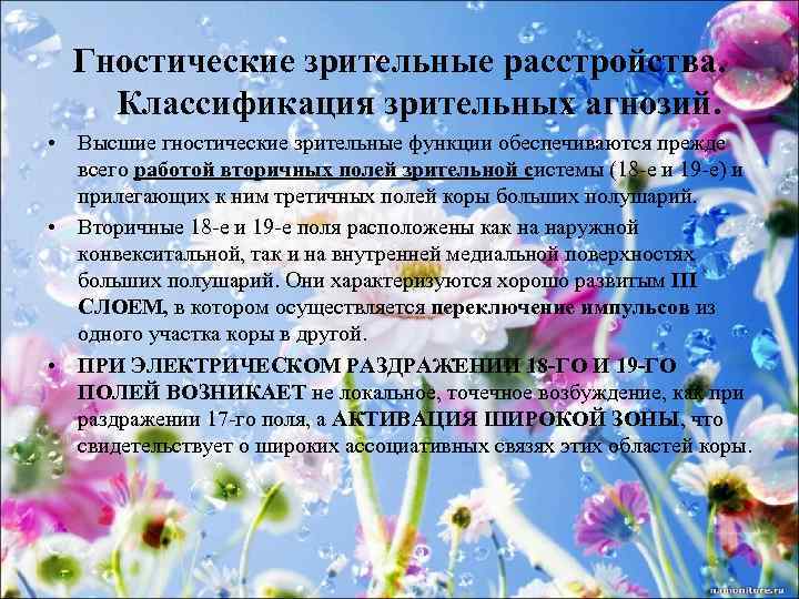 Гностические зрительные расстройства. Классификация зрительных агнозий. • Высшие гностические зрительные функции обеспечиваются прежде всего