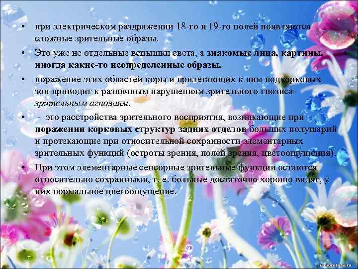  • при электрическом раздражении 18 -го и 19 -го полей появляются сложные зрительные