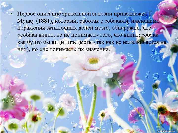  • Первое описание зрительной агнозии принадлежит Г. Мунку (1881), который, работая с собаками,