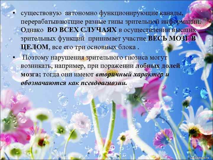  • существовую автономно функционирующие каналы, перерабатываютщие разные типы зрительной информации. Однако ВО ВСЕХ