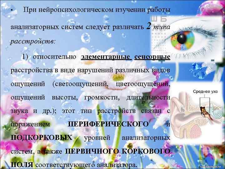  • При нейропсихологическом изучении работы анализаторных систем следует различать 2 типа расстройств: 1)