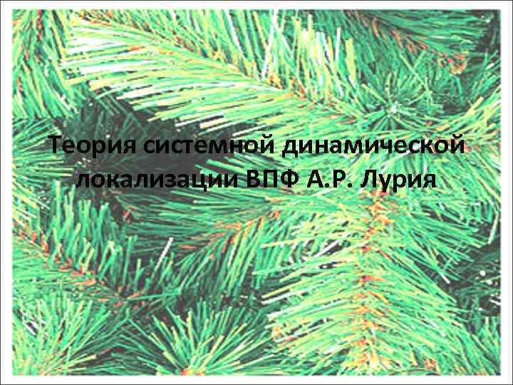 Теория системной динамической локализации ВПФ А. Р. Лурия 