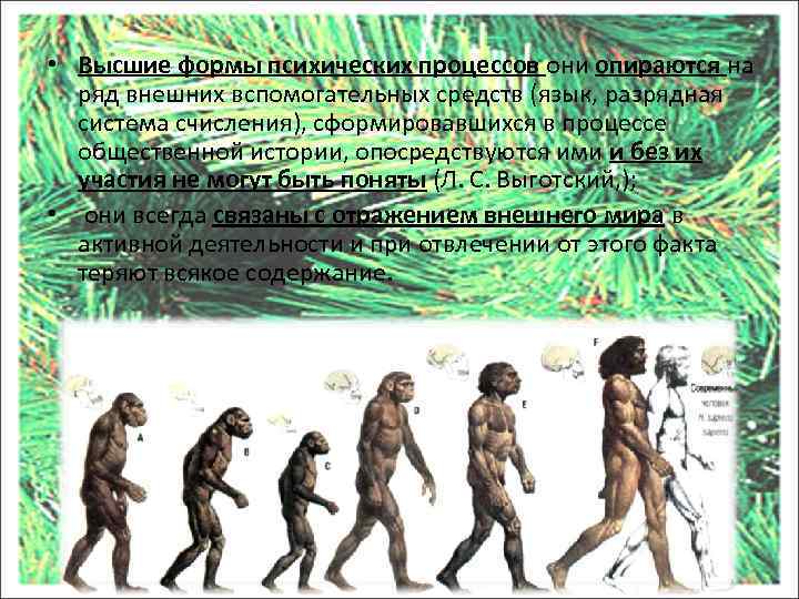  • Высшие формы психических процессов они опираются на ряд внешних вспомогательных средств (язык,