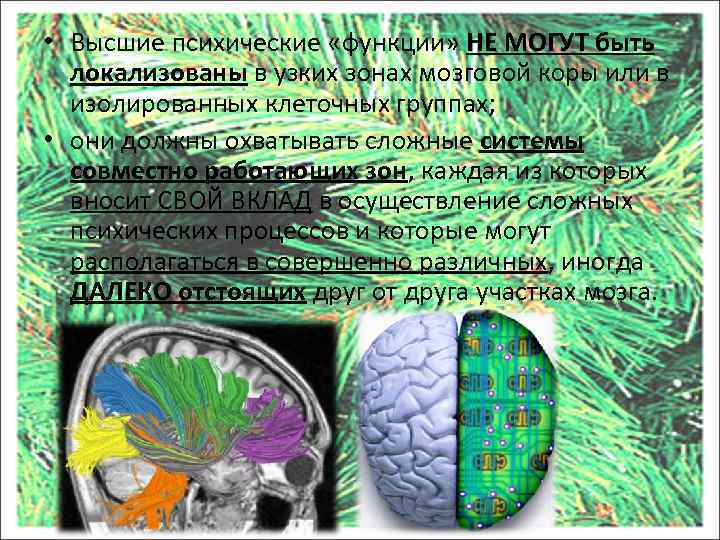  • Высшие психические «функции» НЕ МОГУТ быть локализованы в узких зонах мозговой коры