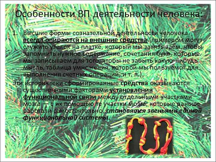 Особенности ВП деятельности человека: 1. Высшие формы сознательной деятельности человека всегда опираются на внешние