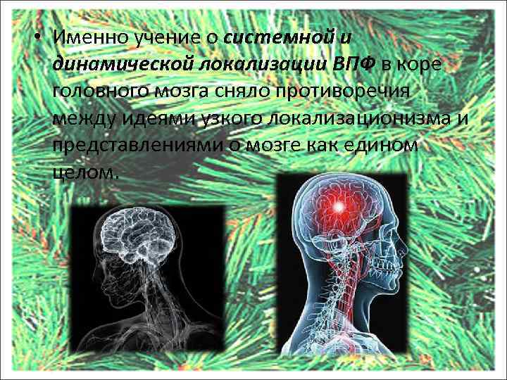  • Именно учение о системной и динамической локализации ВПФ в коре головного мозга