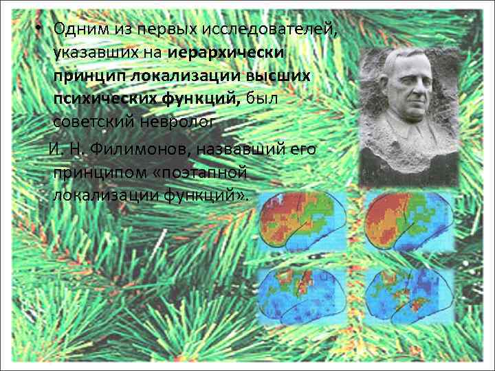  • Одним из первых исследователей, указавших на иерархически принцип локализации высших психических функций,