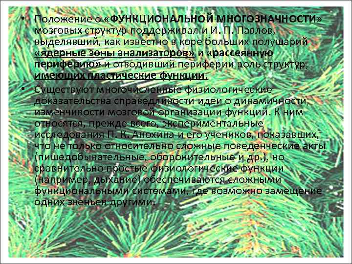  • Положение о «ФУНКЦИОНАЛЬНОЙ МНОГОЗНАЧНОСТИ» мозговых структур поддерживал и И. П. Павлов, выделявший,