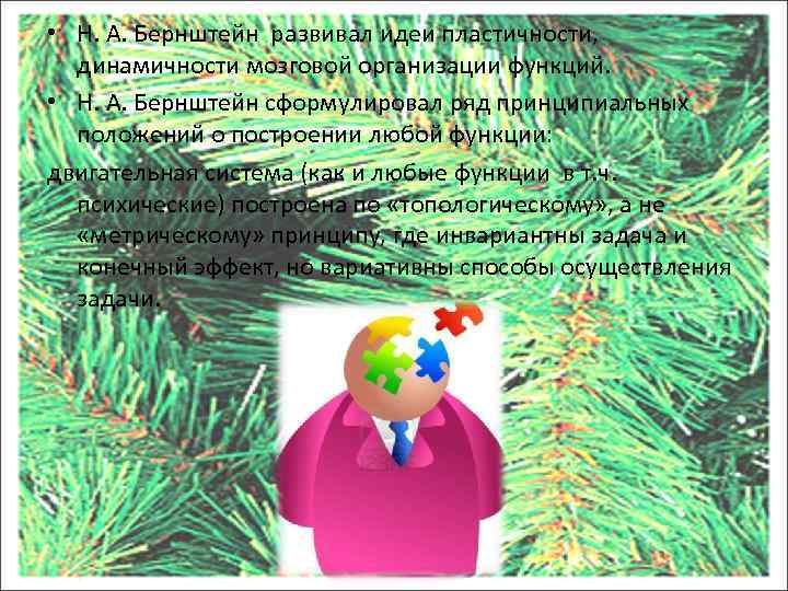  • Н. А. Бернштейн развивал идеи пластичности, динамичности мозговой организации функций. • Н.