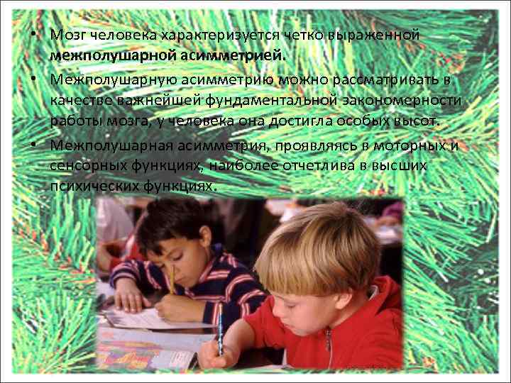  • Мозг человека характеризуется четко выраженной межполушарной асимметрией. • Межполушарную асимметрию можно рассматривать