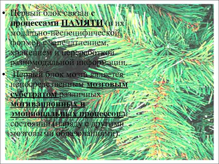  • Первый блок связан с процессами ПАМЯТИ (в их модально-неспецифической форме), с запечатлением,