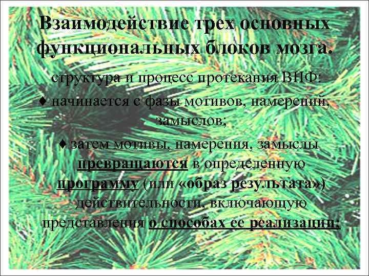 Взаимодействие трех основных функциональных блоков мозга. структура и процесс протекания ВНФ: ♦ начинается с