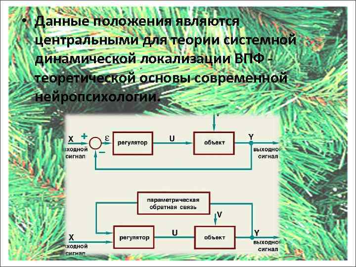  • Данные положения являются центральными для теории системной динамической локализации ВПФ - теоретической