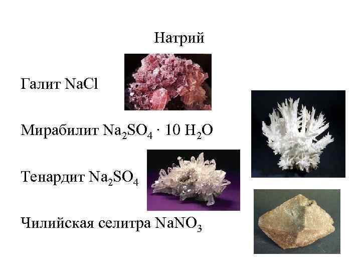 Натрий Галит Na. Cl Мирабилит Na 2 SO 4 · 10 H 2 O