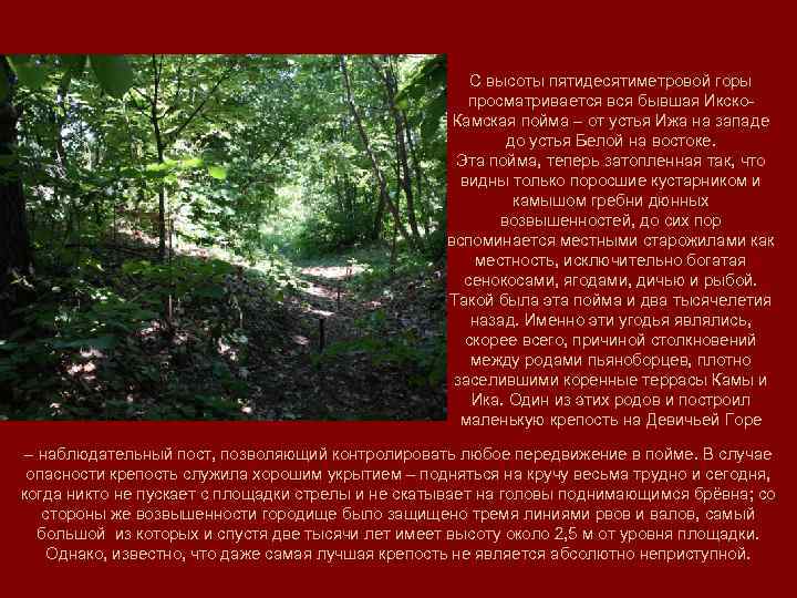 С высоты пятидесятиметровой горы просматривается вся бывшая Икско. Камская пойма – от устья Ижа