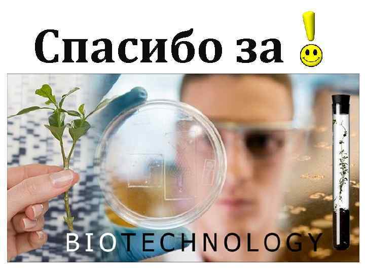 Спасибо за внимание 