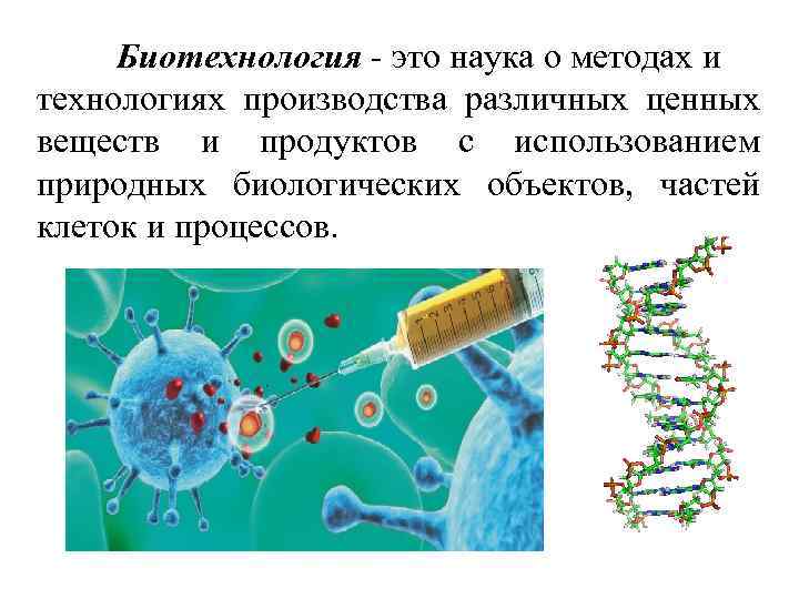 Биотехнология - это наука о методах и технологиях производства различных ценных веществ и продуктов