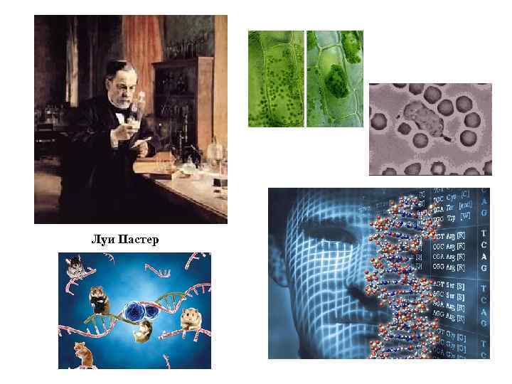 Луи Пастер 